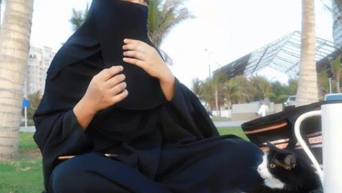 娱乐吃瓜君的原创,吃瓜君带你领略幕后风云  第2张